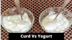 Difference Between Curd And Yogurt