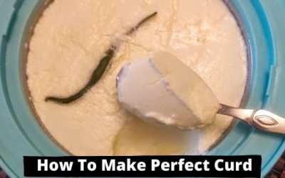 How To Make Curd At Home Perfectly In Winters