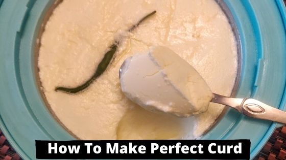 How To Make Curd At Home Perfectly In Winters