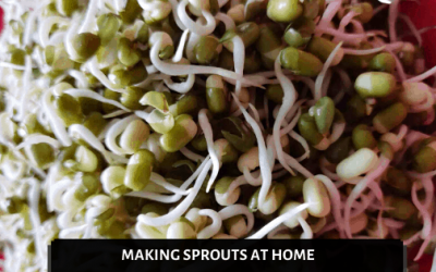 How To Make Moong Sprouts At Home