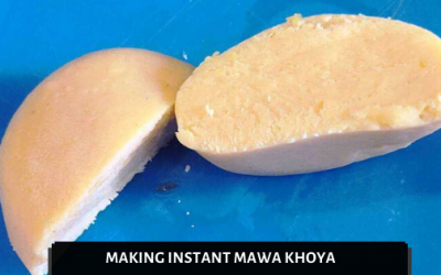 How to Make Mawa at Home Instantly | Khoya Recipe