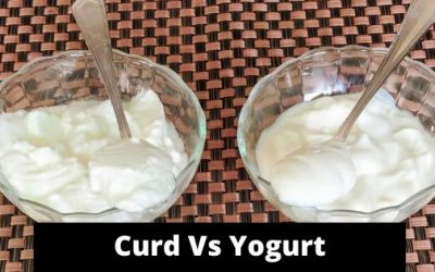 Yogurt Vs Curd | Difference Between Yogurt and Curd