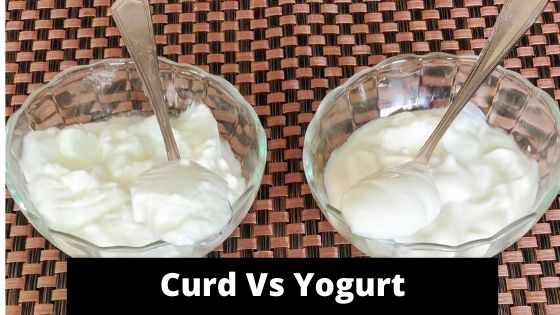 Yogurt Vs Curd | Difference Between Yogurt and Curd
