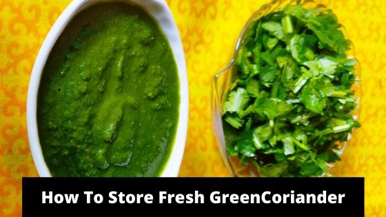 How To Store Coriander Leaves For Up to A Month