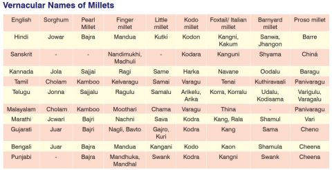 What Are Millets? Basic Info About Millets | Types | Benefits