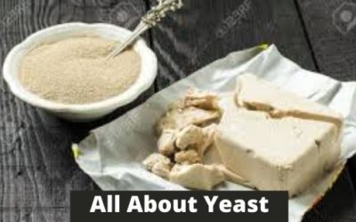 Understanding All About Yeast In Baking Bread