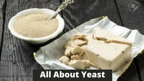 all about yeast
