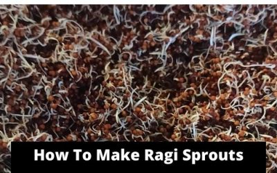 How To Sprout Ragi & Make Sprouted Ragi Flour