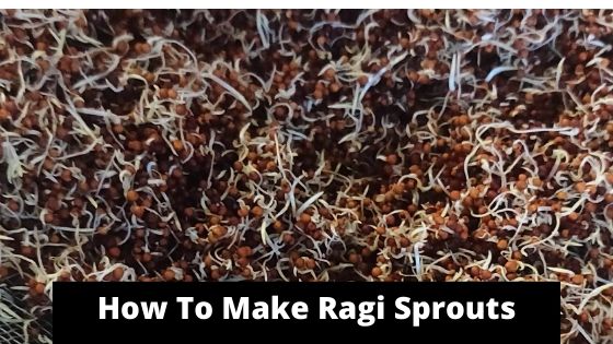 How To Sprout Ragi & Make Sprouted Ragi Flour
