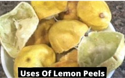 Amazing Lemon Peel Uses: Day To Day Practical Uses